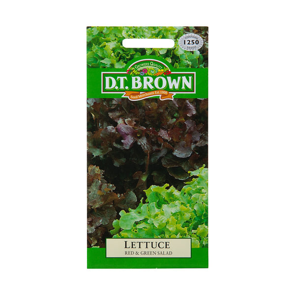 D.T. Brown Seeds - Lettuce Red and Green Salad - 1250 Seed Pack