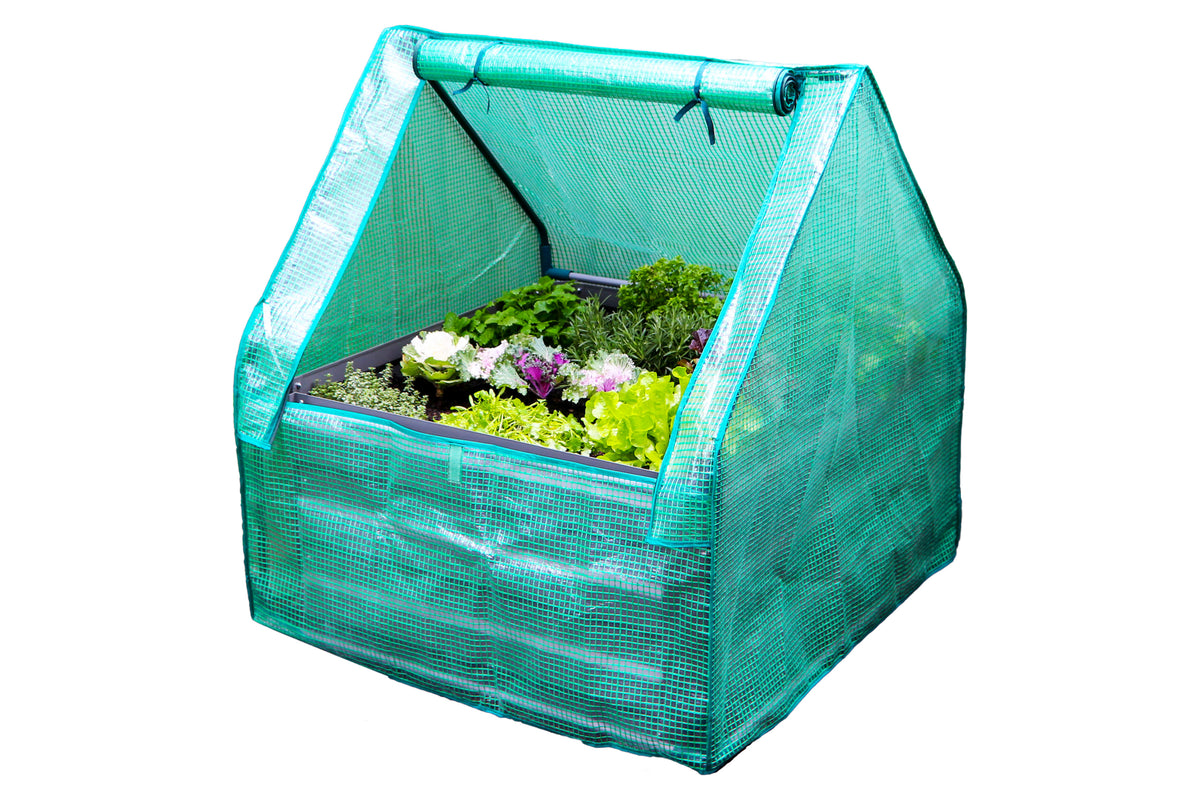Greenlife Square Garden Bed 450H Slate Grey + PE Greenhouse 900 x 900 x 1020