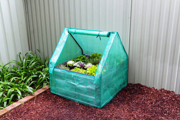 Square Garden Bed 850 x 850 x 450mm - Slate Grey + Drop Over Greenhouse