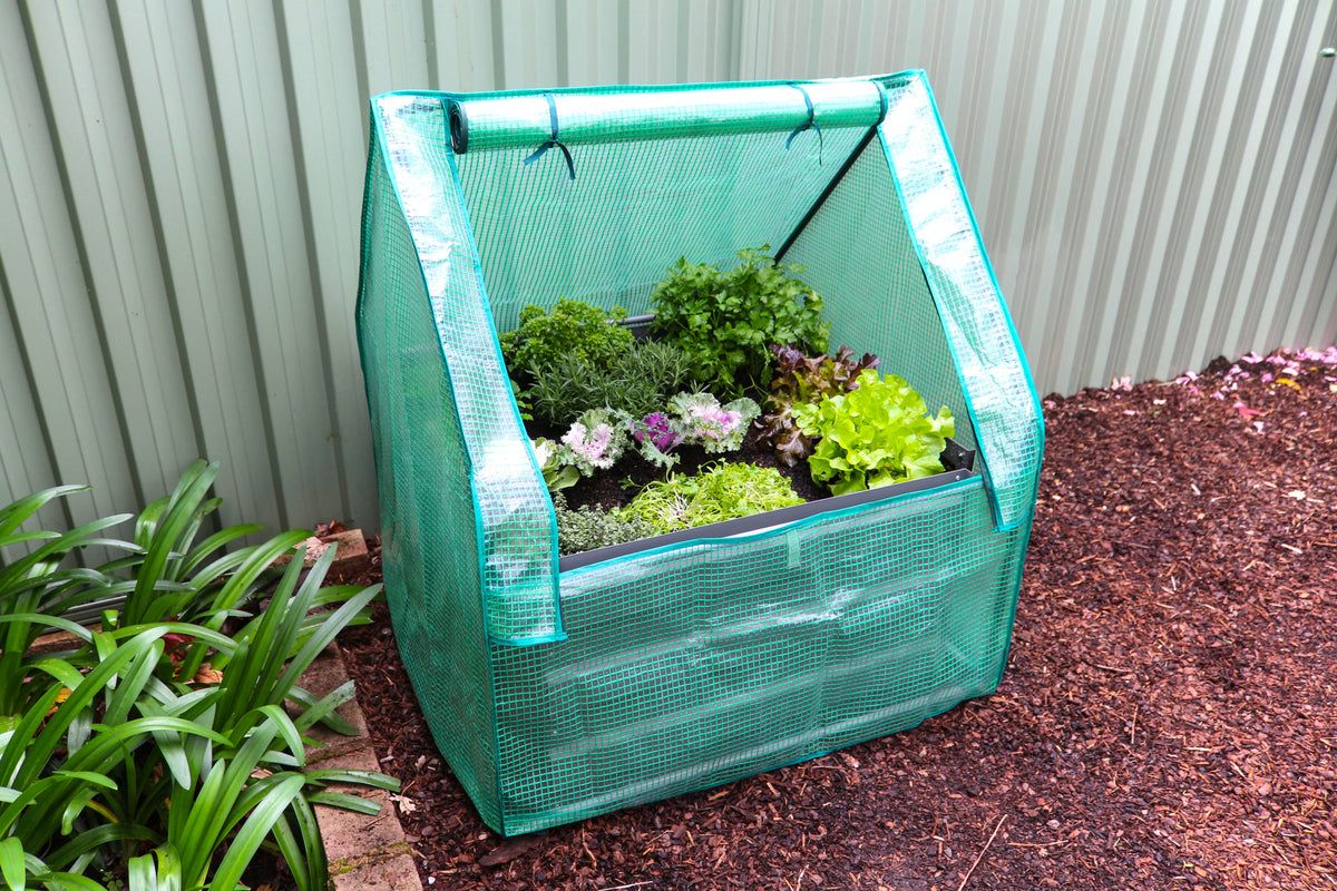 Greenlife Square Garden Bed 450H Slate Grey + PE Greenhouse 900 x 900 x 1020