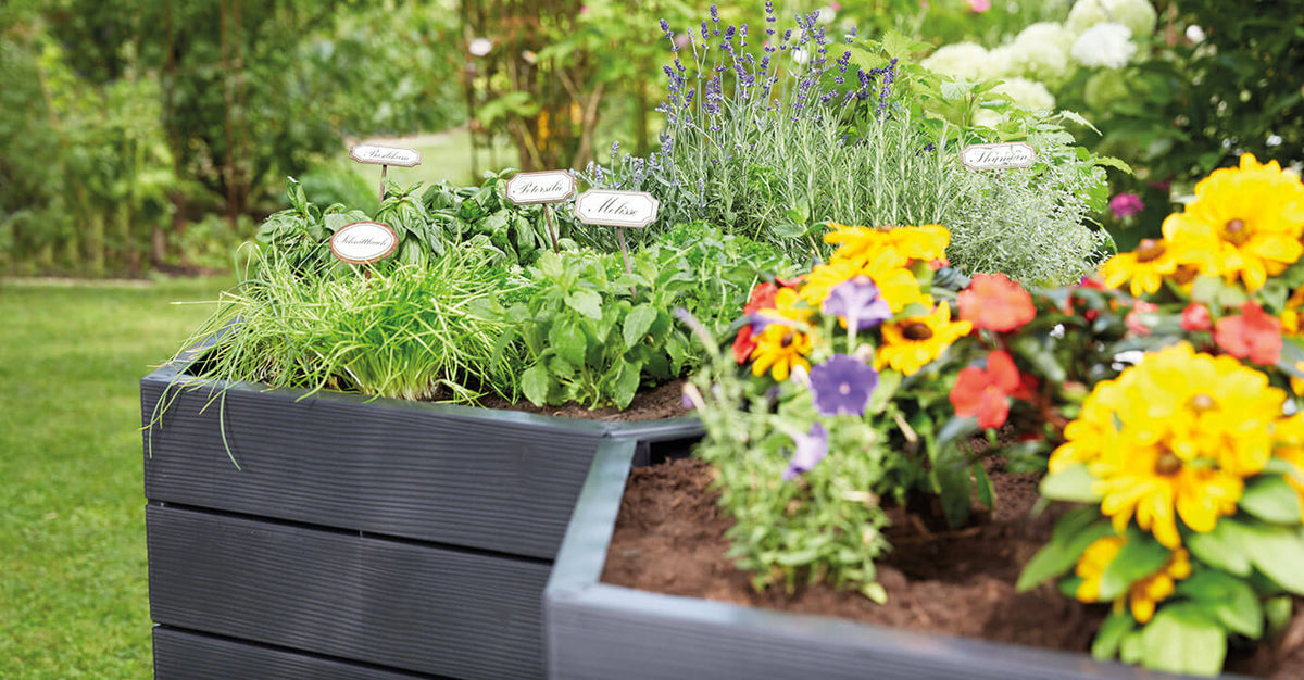 HEX ERGO Recycled Plastic Raised Garden Bed