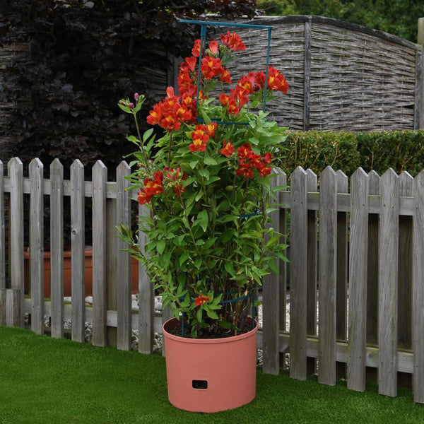 Greenlife Jumbo Tomato Growing Tower with Self Watering Pot - Terracotta