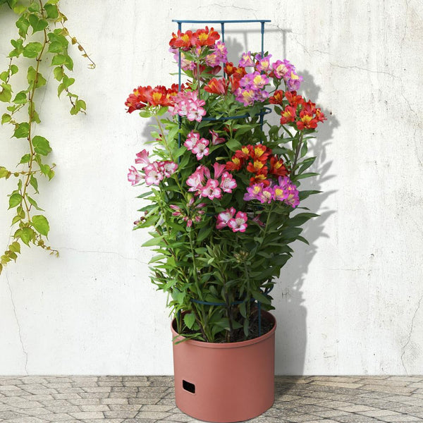 4x Greenlife Jumbo Growing Tower with Self Watering Pot - Terracotta