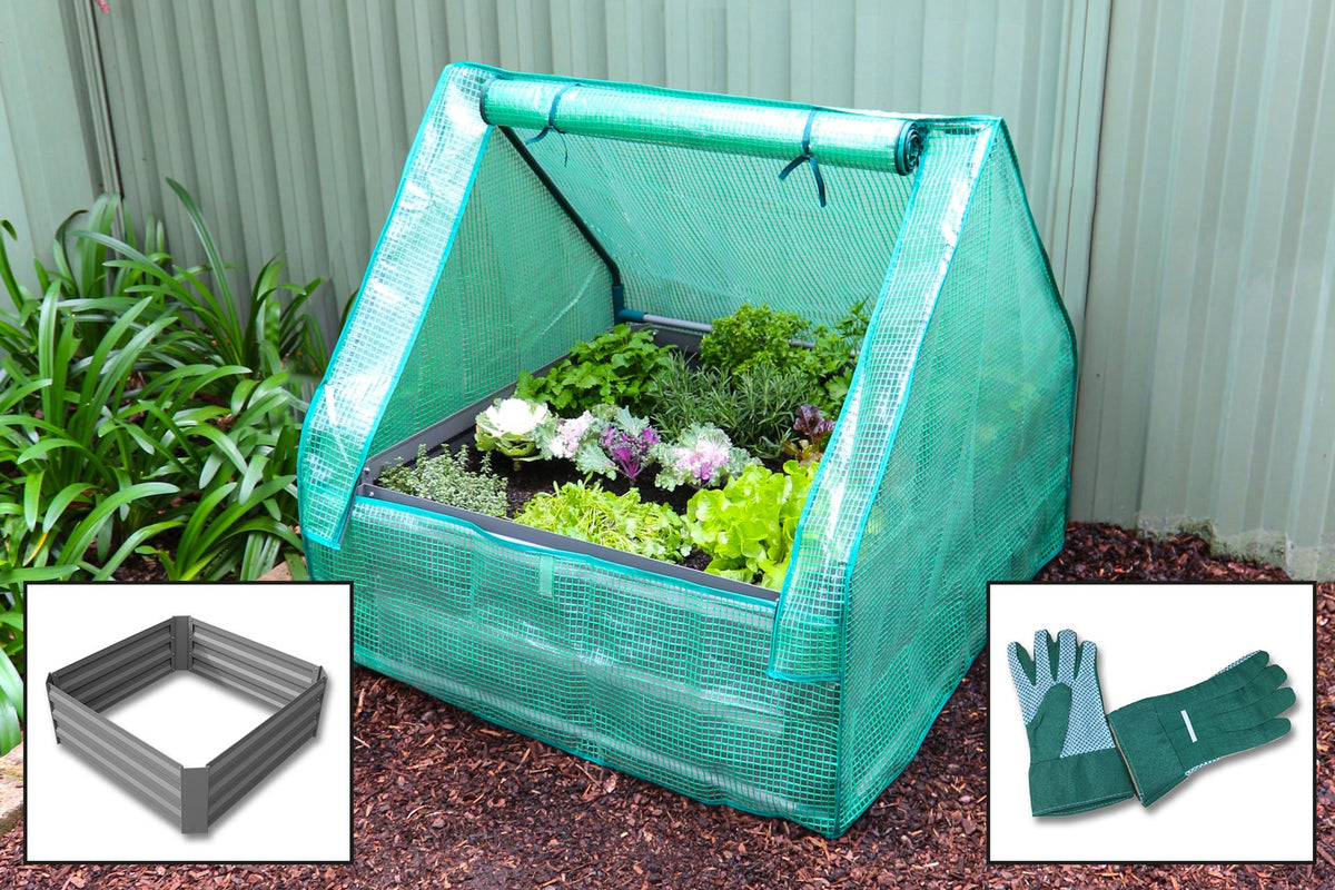 Greenlife Raised Metal Garden Bed + PE Drop Over Greenhouse + Gardening Gloves
