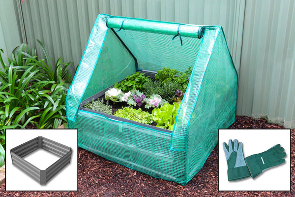 Raised Garden Bed 850 x 850 x 300 + Drop Over Greenhouse PE Cover + Gloves