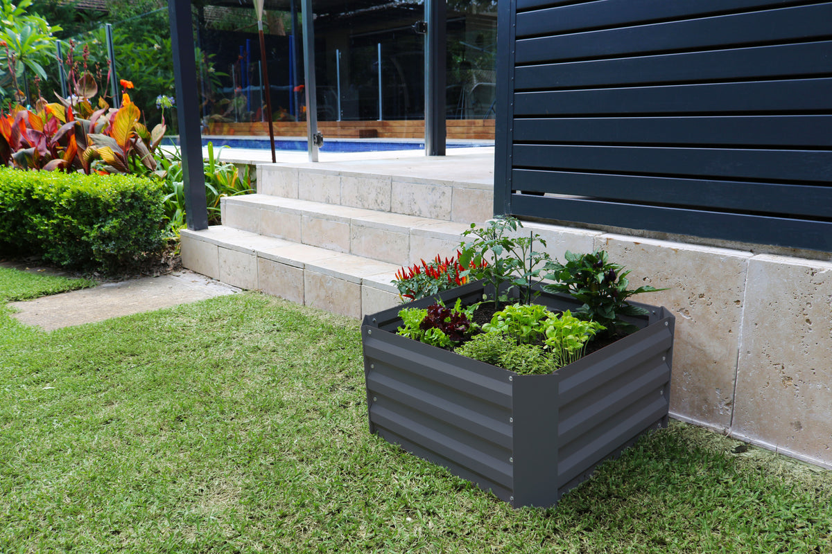 Greenlife Small Metal Raised Garden Bed 600 x 600 x 300mm Charcoal