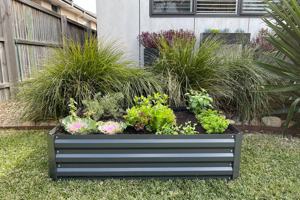 Greenlife Raised Garden Bed - 1200 x 900 x 300mm - Charcoal