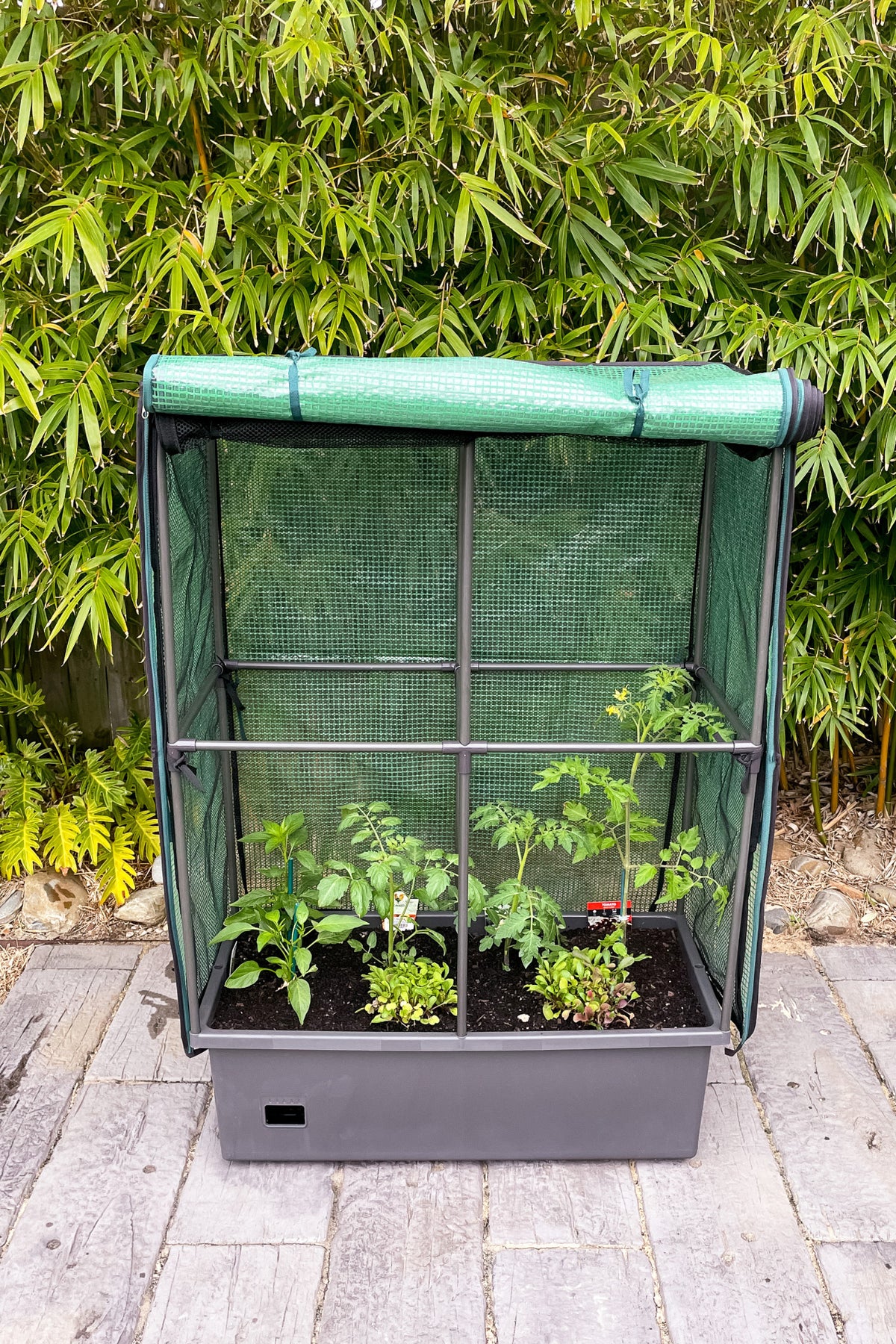 Greenlife Self-Watering Mobile Planter Box with Greenhouse & Netting