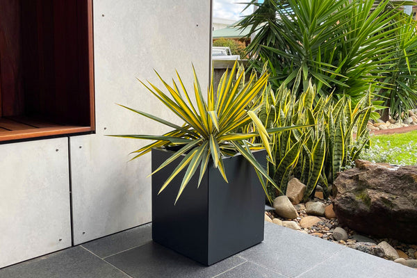 Greenlife Metal Designer Planter Box with Base 340 x 340 x 400mm Charcoal