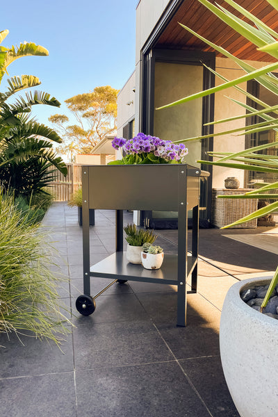 Greenlife Sturdy Mobile Raised Garden Planter Trolley - 550 x 550 x 800mm - Charcoal