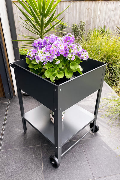 Greenlife Sturdy Mobile Raised Garden Planter Trolley - 550 x 550 x 800mm - Charcoal