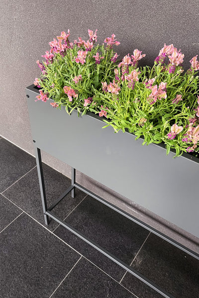 Greenlife Raised Planter Box - 800 x 240 x 800mm - Charcoal
