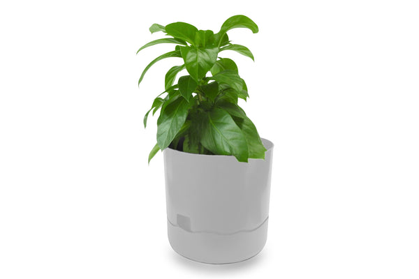 Greenlife Circular Self Watering Plastic Pot - White 240 x 240 x 250mm