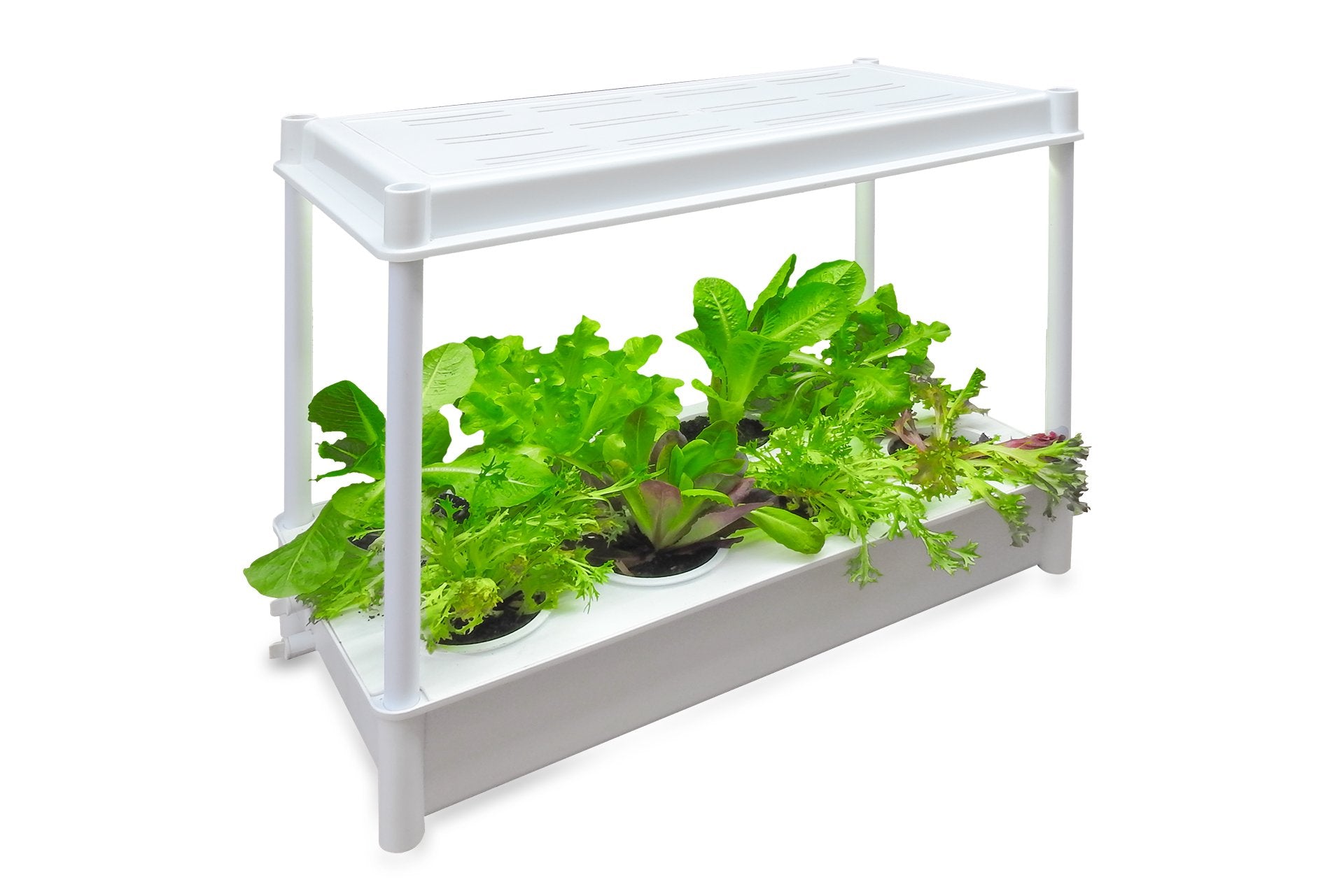 indoor salad planter Greenlife Self-Watering Salad Planter Grower with LED Lights and 8 Pot