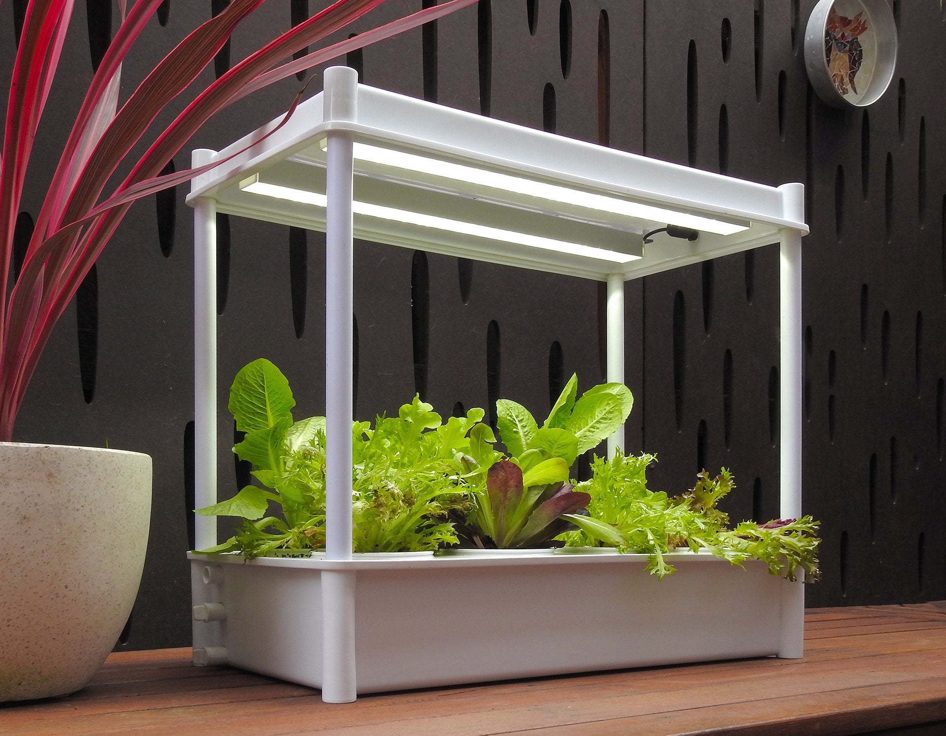 indoor salad planter Greenlife Self-Watering Salad Planter Grower with LED Lights and 8 Pot