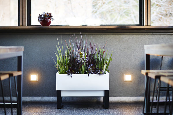 Glowpear Urban Garden Planter - Self Watering Planter Box Kit