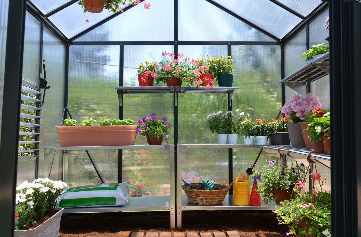 Maze Glory Polycarbonate Greenhouse 8' x 12' Grey (2.5m x 3.7m)