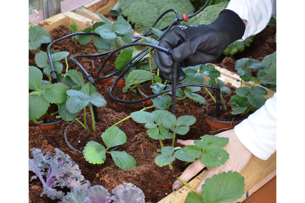 Maze Greenhouse Accessory - Greenhouse Drip Kit