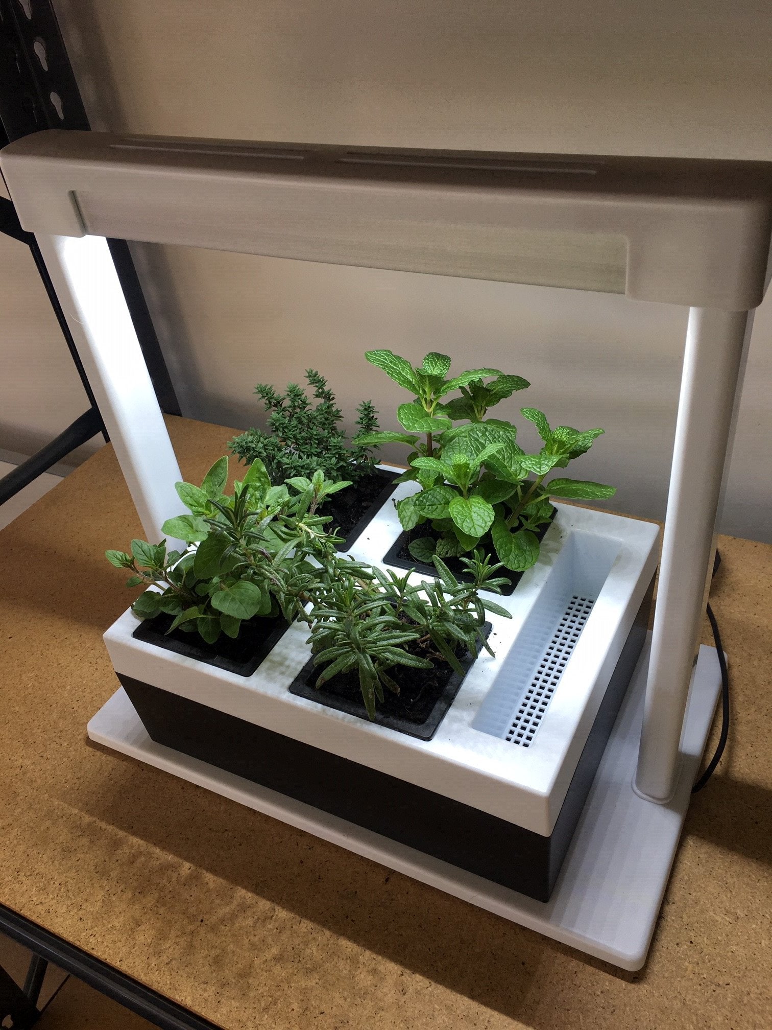 plant grow lights australia Greenlife LED Grow Light Herb Lamp Kit with 4 Pot Growing Planter