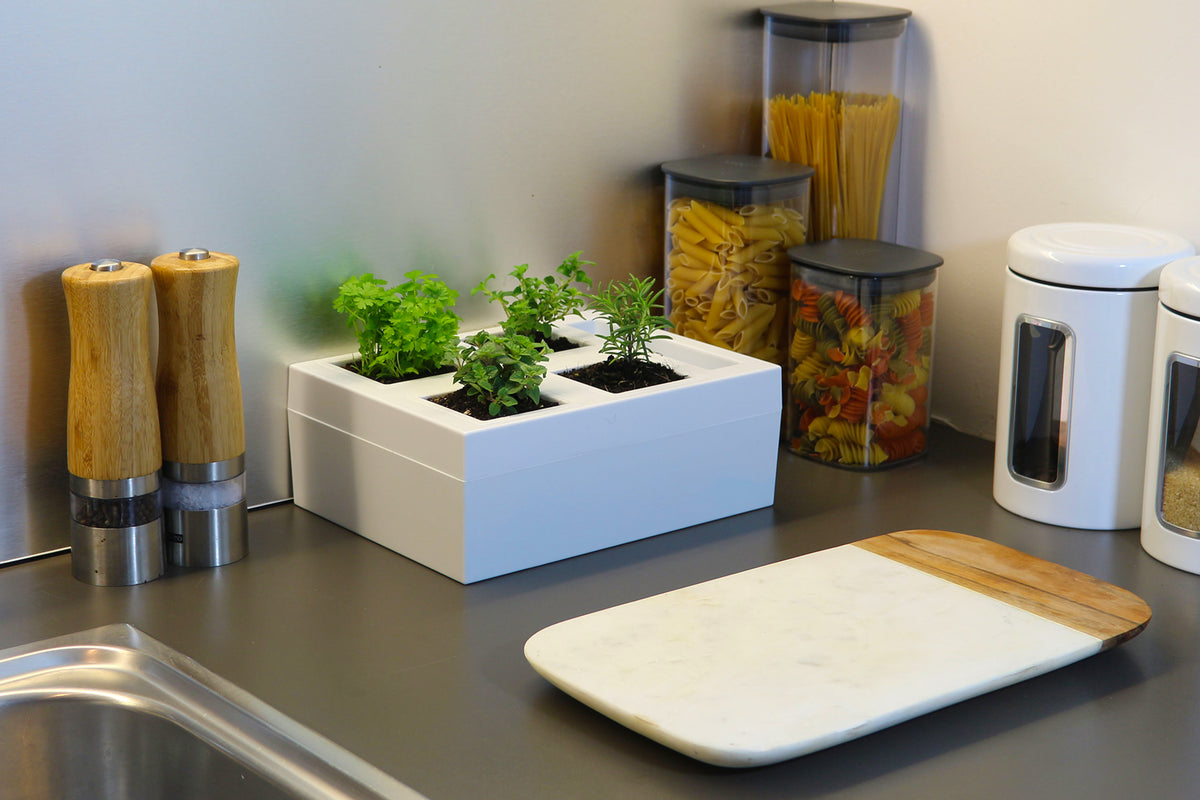 Greenlife Self-watering Bench Top Herb Growing Planter with 4 Pots