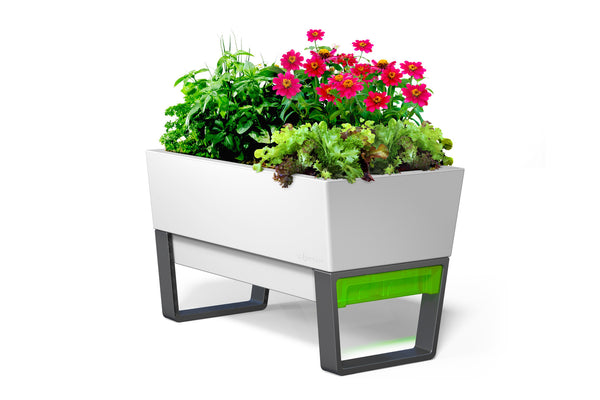 Glowpear Urban Garden Planter - Self Watering Planter Box Kit