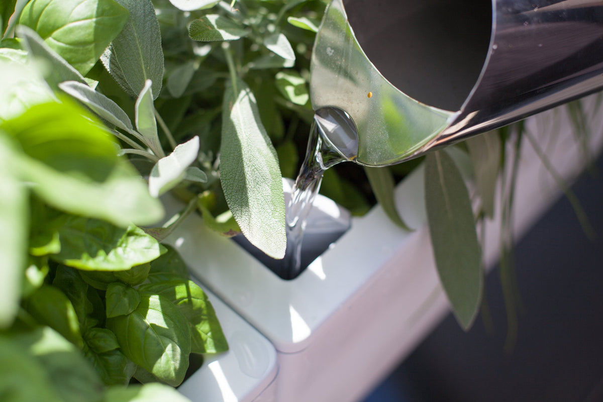 Glowpear Mini Wall Planter - Self Watering Vertical Garden Planter Box