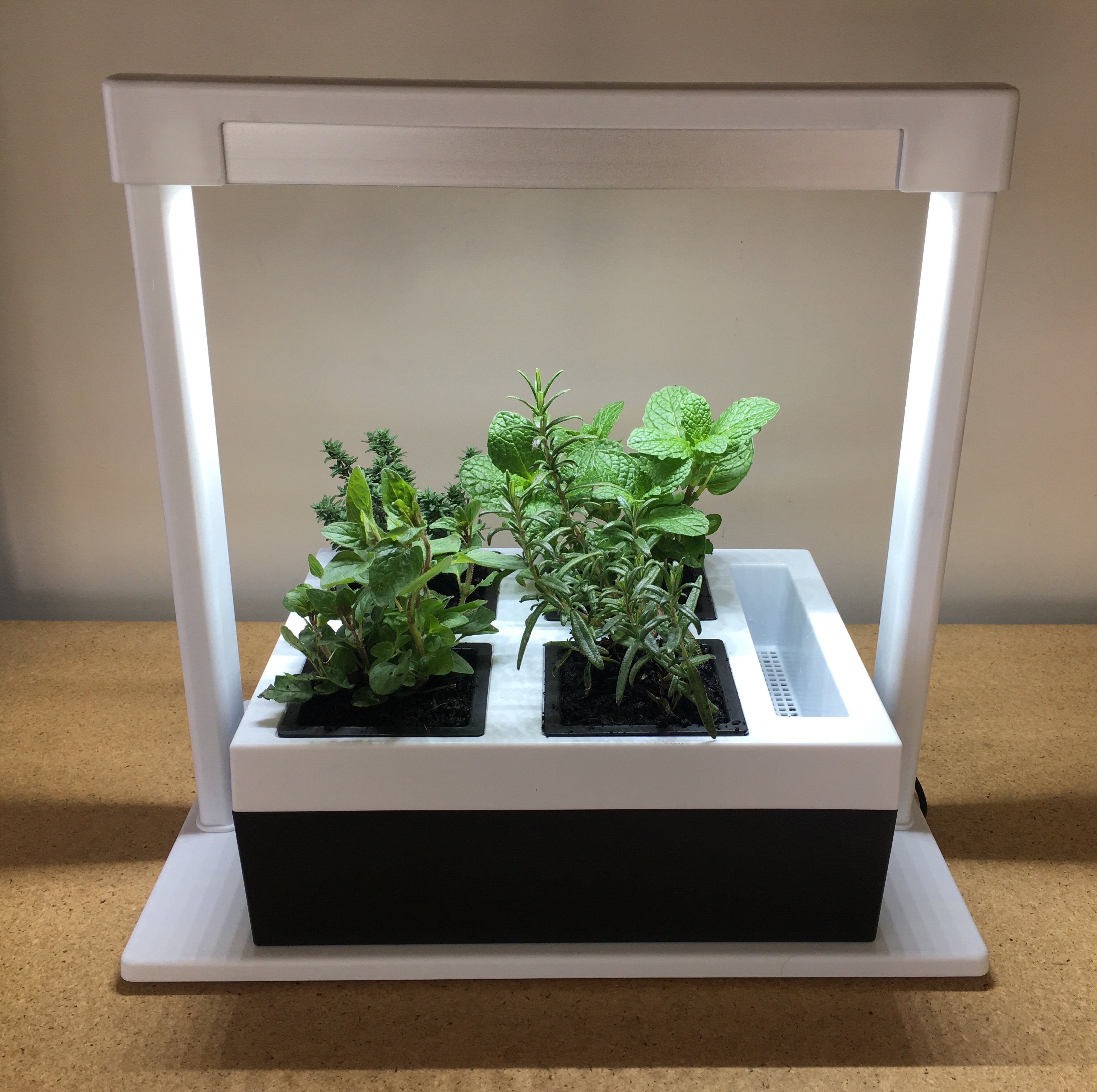 herb planter with grow light Greenlife LED Grow Light Herb Lamp Kit with 4 Pot Growing Planter