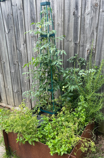 Greenlife Support Frame Tomato Growing Tower 4 Tier Cage - Green