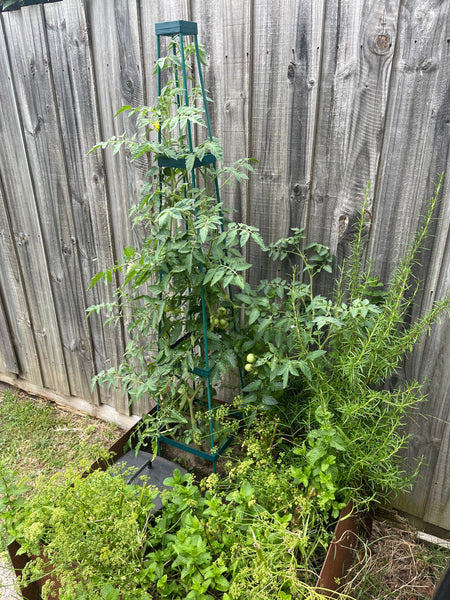 Greenlife Support Frame Tomato Growing Tower 4 Tier Cage - Green