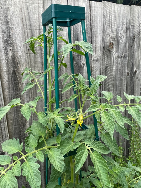Greenlife Support Frame Tomato Growing Tower 4 Tier Cage - Green