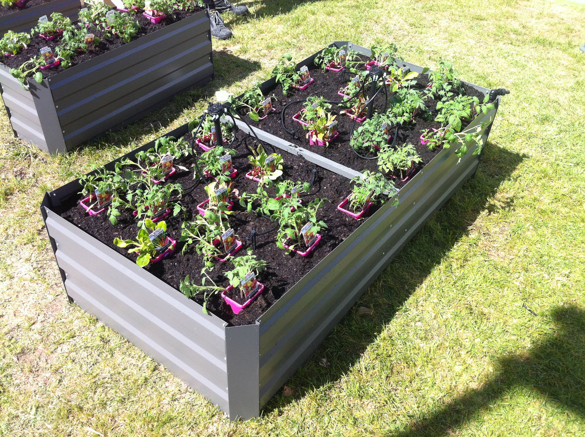 Greenlife Premium Large Garden Bed Slate Grey + Drop Over PE Greenhouse 1850 x 950 x 1020