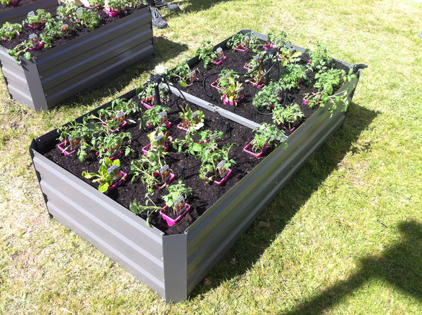 Premium Large Garden Bed - Slate Grey + Drop Over Greenhouse