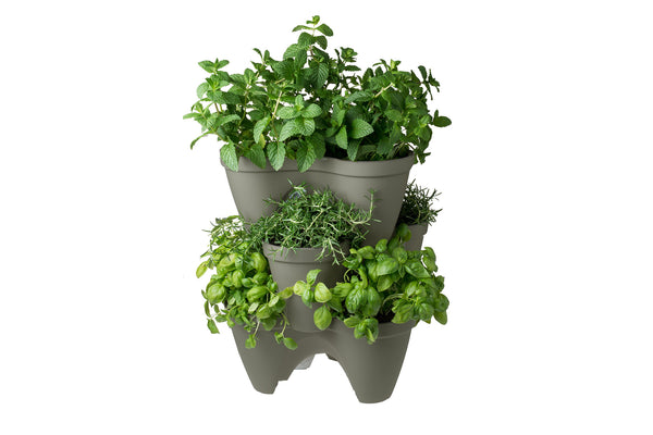 Keter Ivy Planter - 3 Pack