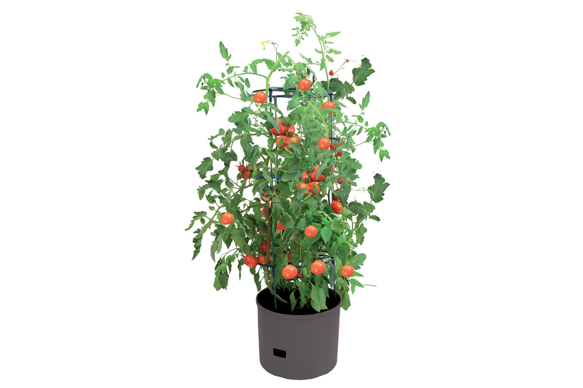 Greenlife Jumbo Tomato Growing Tower with Self Watering Pot - Slate Grey