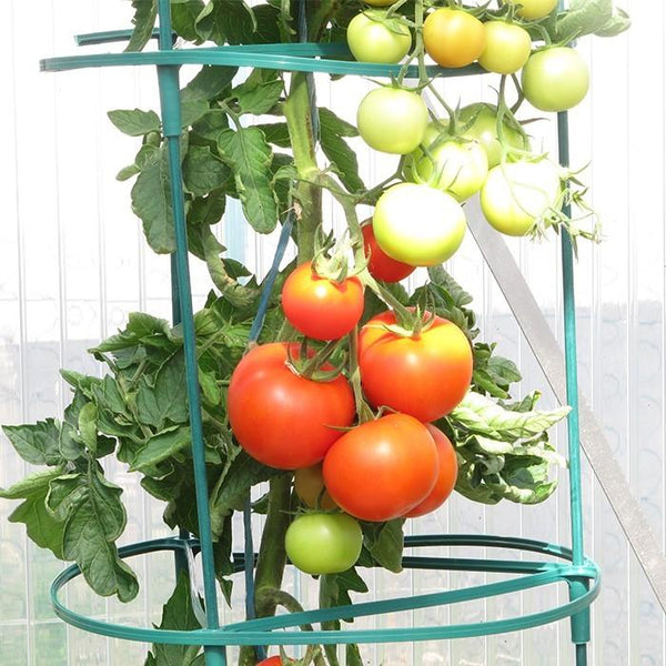 Greenlife Jumbo Tomato Growing Tower with Self Watering Pot - Terracotta