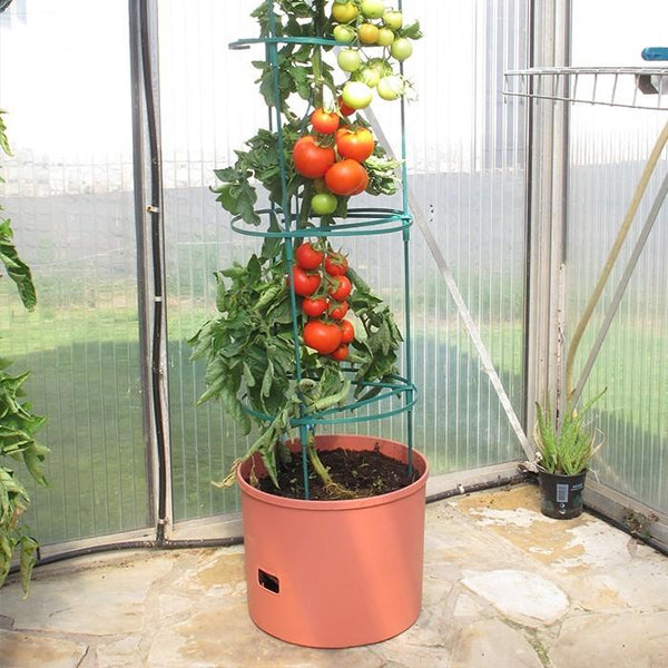 Greenlife Jumbo Tomato Growing Tower with Self Watering Pot - Terracotta