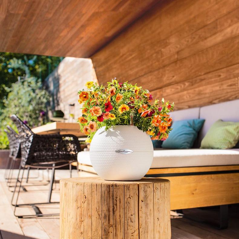 Lechuza Self-Watering Pot - PURO Color 20