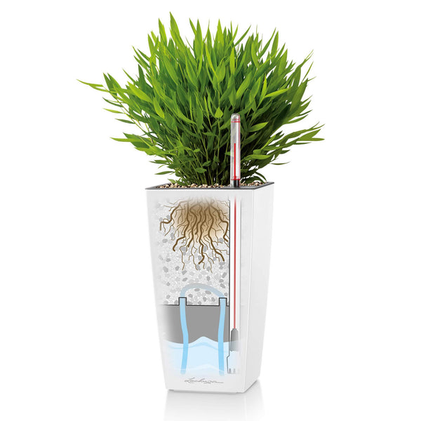 Lechuza Self Watering Pot - MAXI CUBI 14