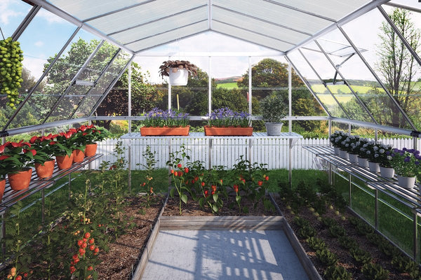 Maze Americana Premium Polycarbonate Greenhouse 12' x 12'