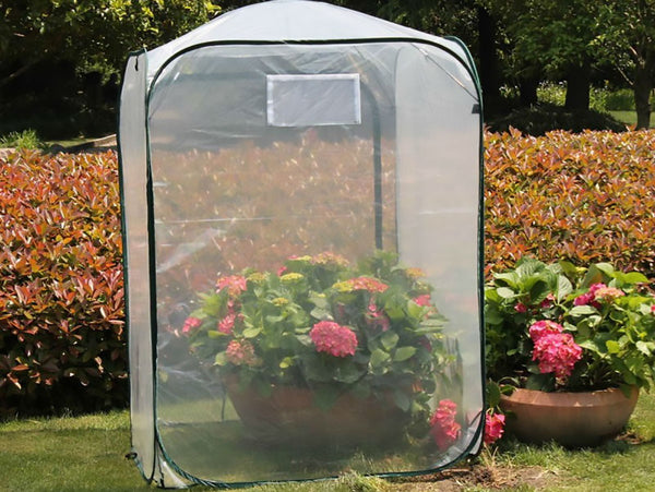 Maze Poly Grenhouse Pop Up Garden Cover - 1000L x 1000W x 1600H