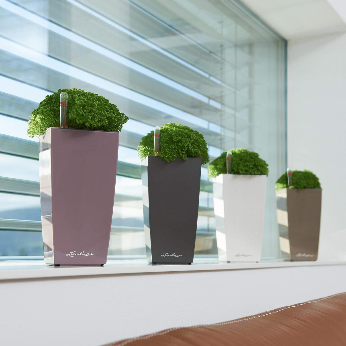 Lechuza Self Watering Pot - MINI CUBI 9
