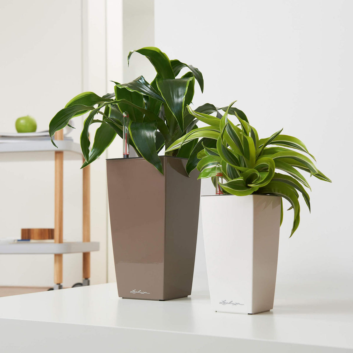 Lechuza Self Watering Pot - MINI CUBI 9