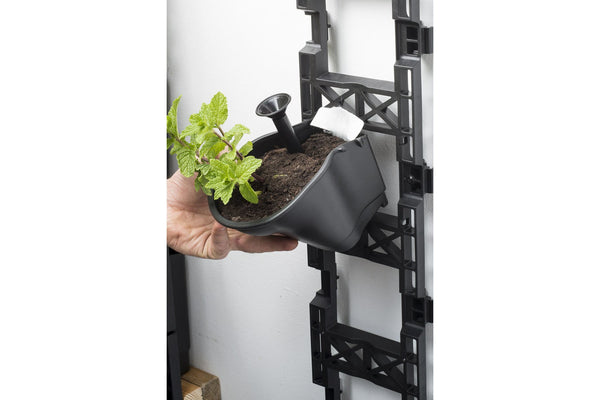 Maze Vertical Garden Wall Growing Kit - Black (25 Pots)