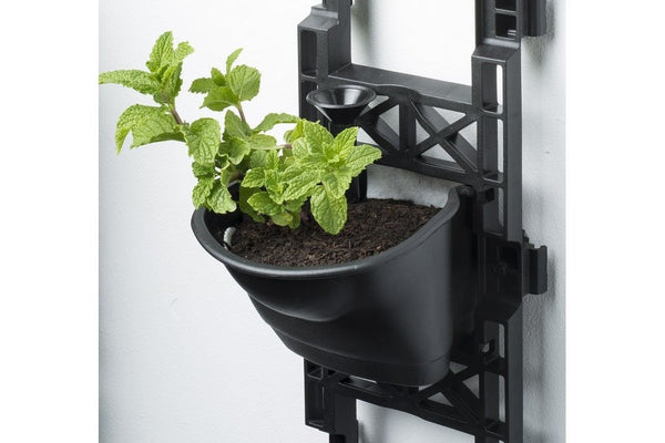 Maze Vertical Garden Wall Growing Kit - Black (25 Pots)