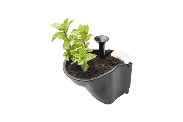 Maze Vertical Garden Wall Growing Kit - Black (25 Pots)