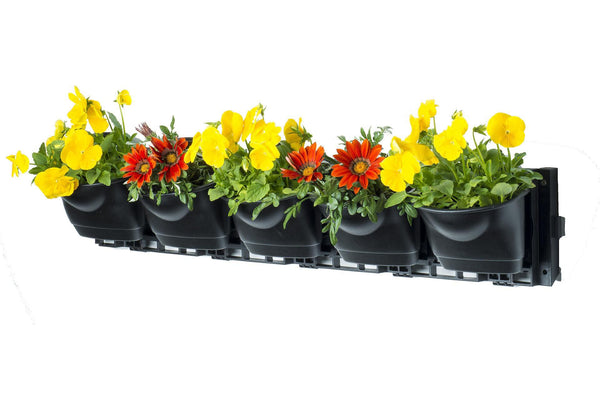 Maze Vertical Garden Wall Growing Kit - Black (5 Pots)
