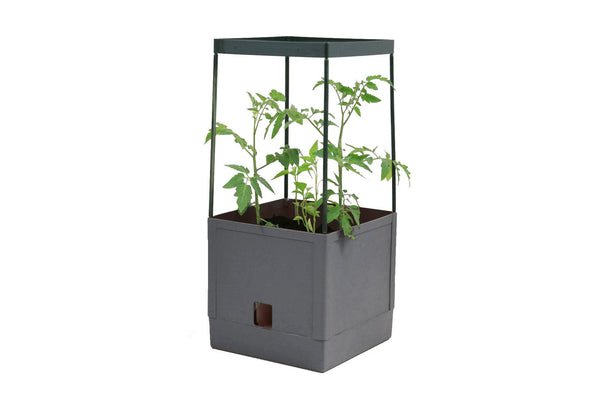 Greenlife Tomato Growing Tower 3 Tier with Self Watering Pot - Slate Grey