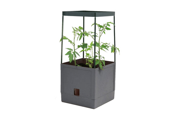 Greenlife Tomato Tower 3 Tier with Self Watering Pot - Slate Grey