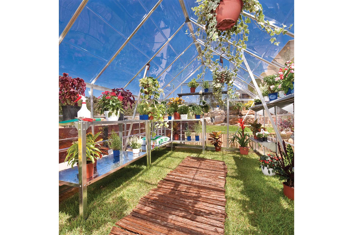 Maze Octave Polycarbonate Greenhouse 8' x 12' Clear Roof (2.5m x 3.7m)