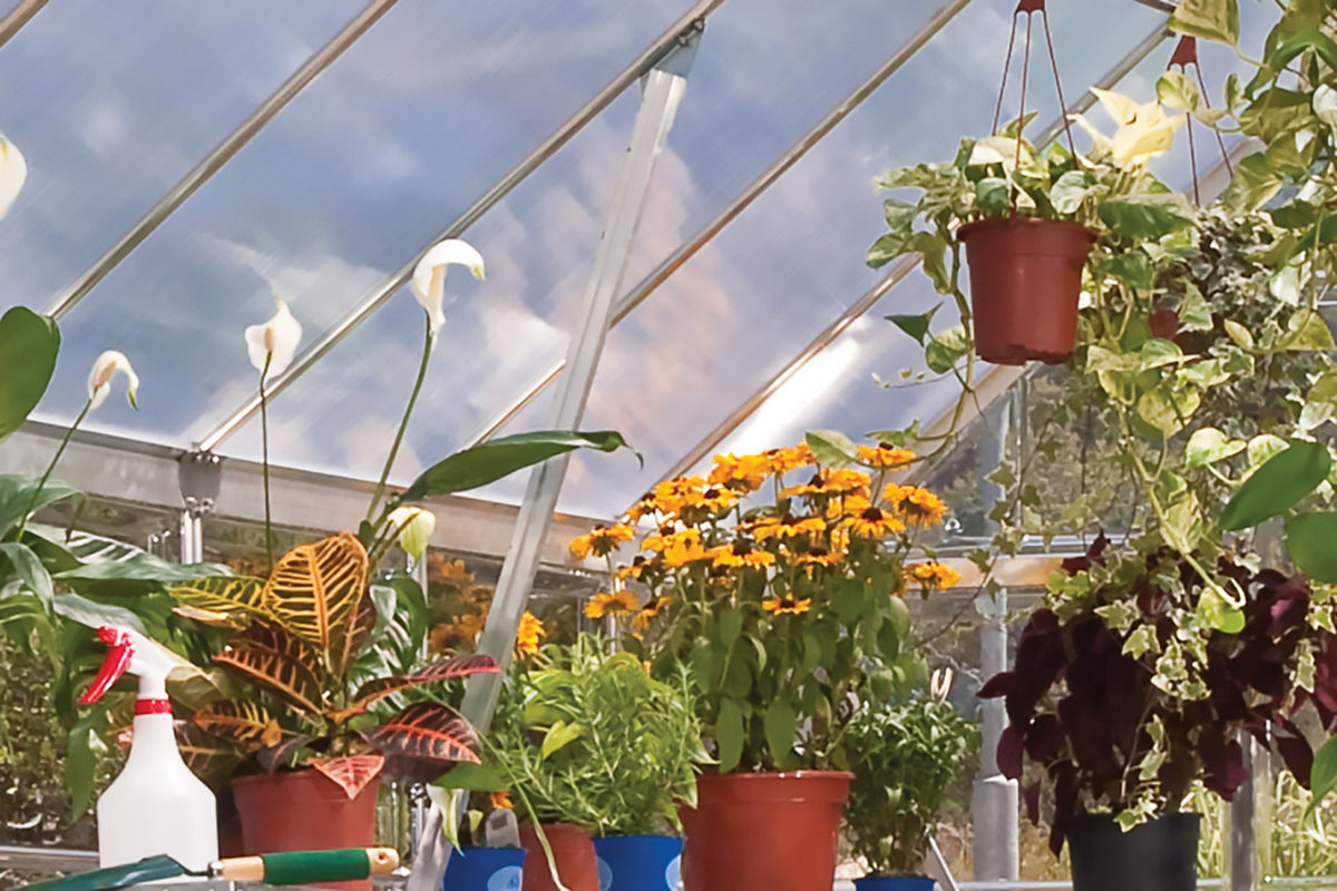 Maze Balance Polycarbonate Greenhouse 8' x 12' Silver (2.5m x 3.7m)